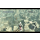 Ubisoft Assassin's Creed Es. - 1398479 - zdjęcie 2